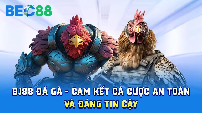 BJ88 đá gà cam kết an toàn