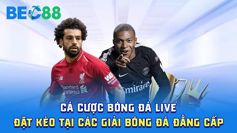Cá cược bóng đá live, đặt kèo tại các giải bóng đá đẳng cấp