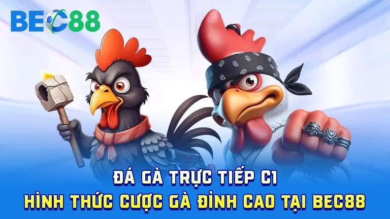 Đá gà trực tiếp C1 Beauty hấp dẫn