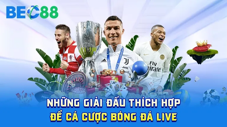 Những giải đấu thích hợp để cá cược bóng đá live