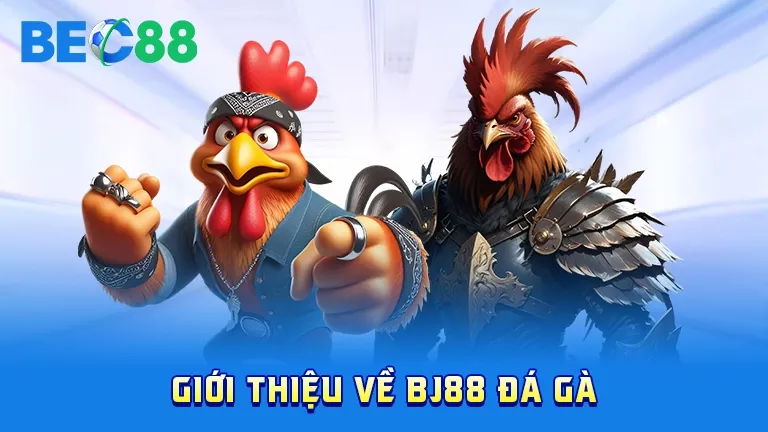 Giới thiệu BJ88 đá gà