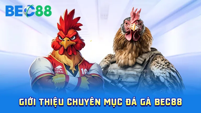 Giới thiệu chuyên mục đá gà tại BEC88