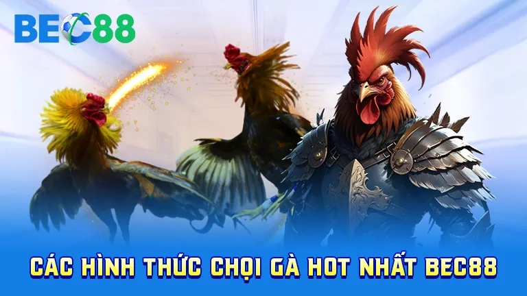 Các loại hình chọi gà hot nhất tại BEC88