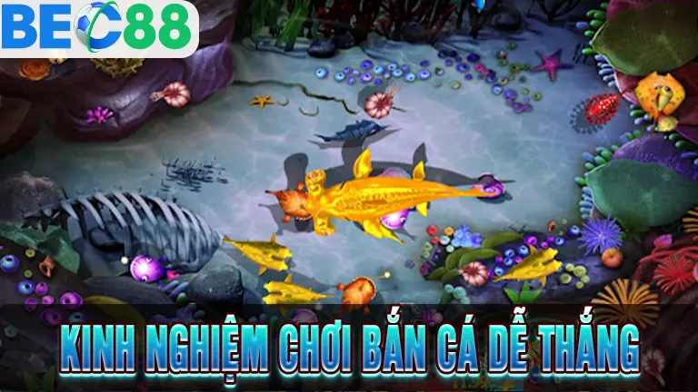 Mẹo chơi bắn cá đổi thưởng từ cao thủ