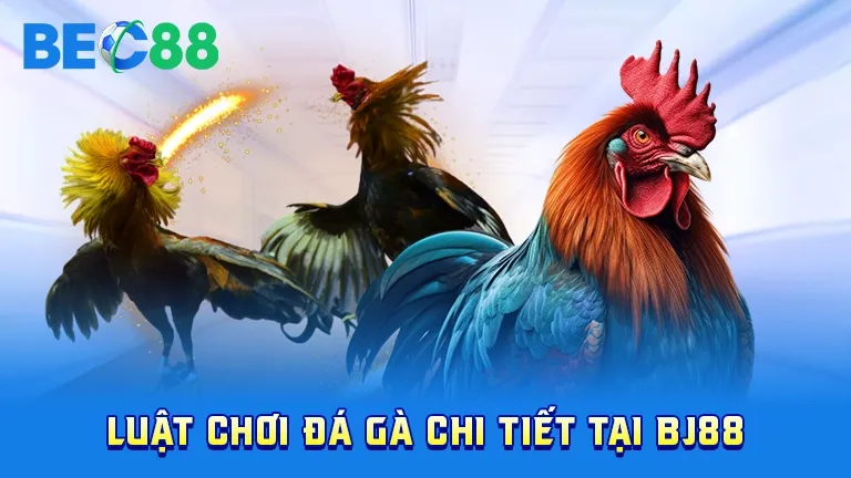 Luật chơi đá gà BJ88