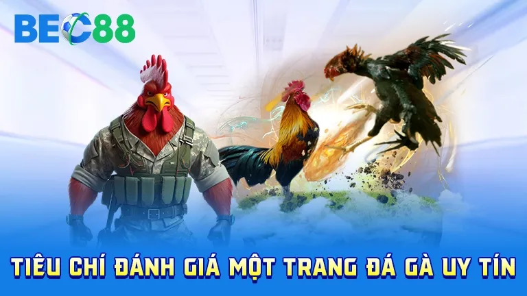 Tiêu chí đánh giá trang đá gà uy tín