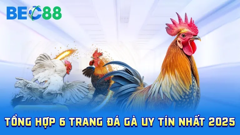 Tổng hợp 6 trang đá gà uy tín 2025